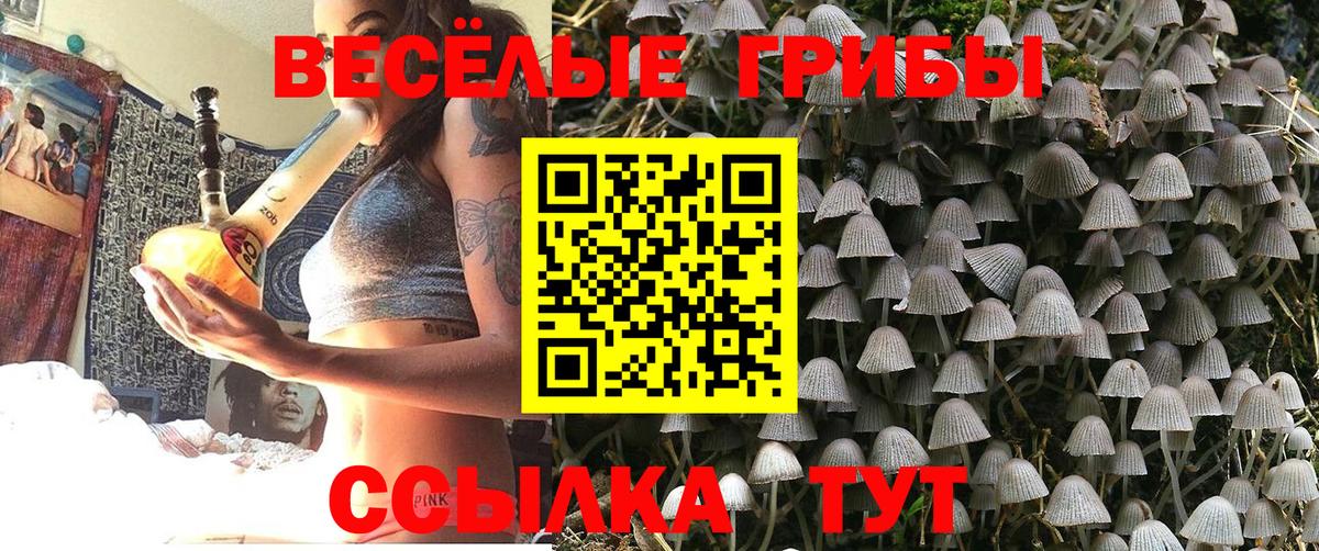 Галлюциногенные грибы мицелий  Вход с VPN  Севастополь 