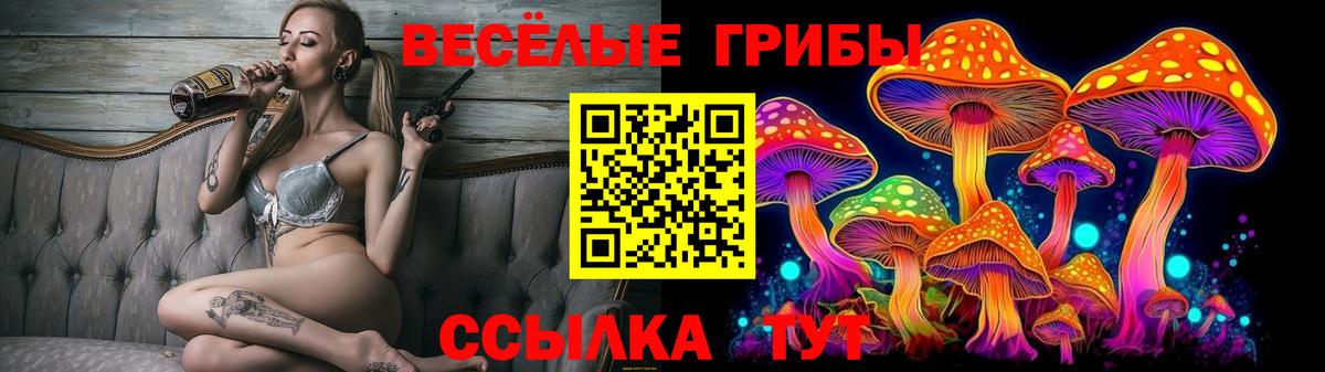 Псилоцибиновые грибы Cubensis Севастополь